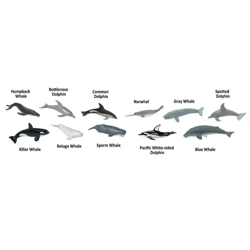 Whales & Dolphins TOOB®-3