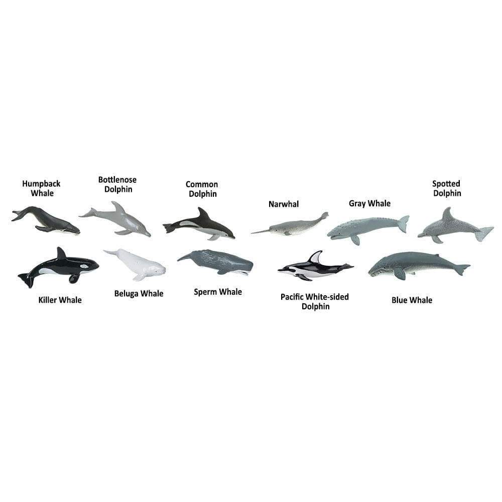 Whales & Dolphins TOOB®-3