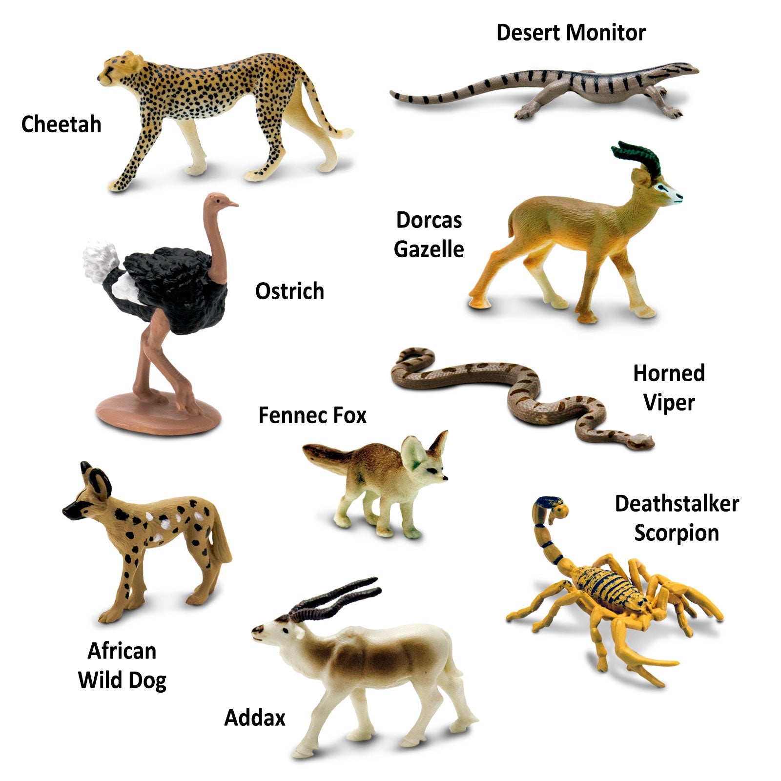 Sahara Desert Animals TOOB®-2
