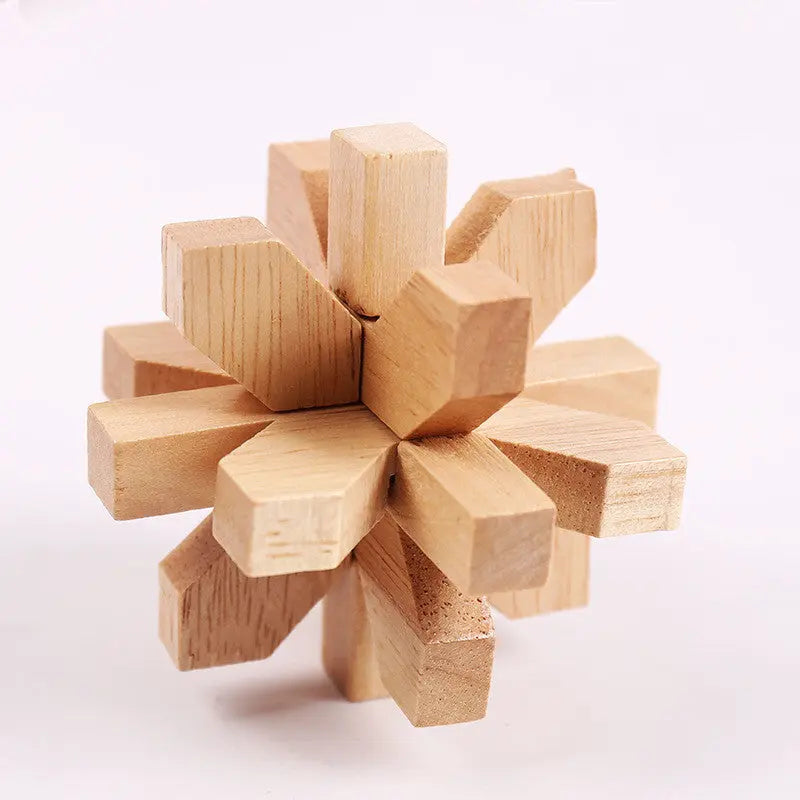 Educational Wood Lock Puzzle Set for Kids-8