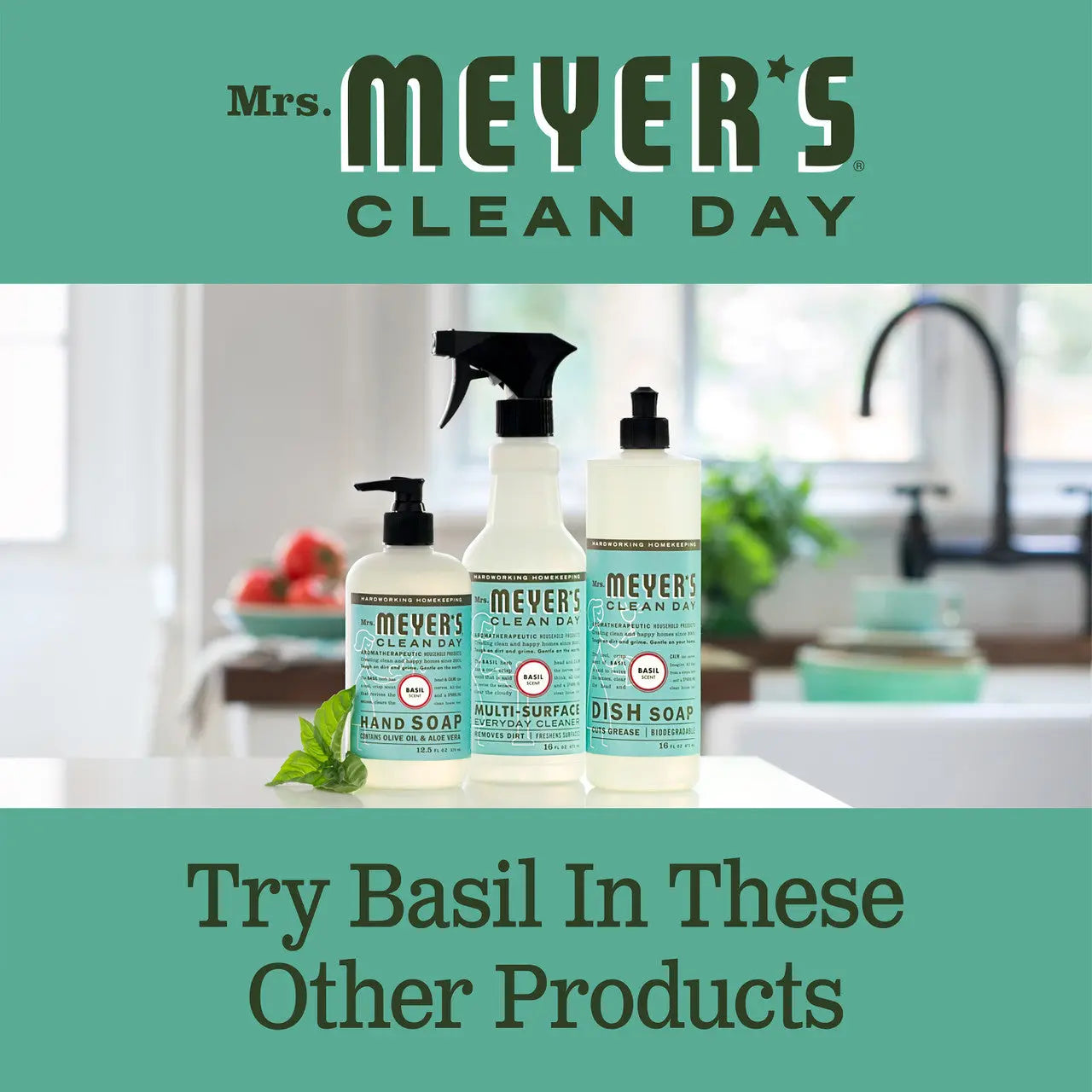 Meyers Basil Liquid Hand Soap (6x12.5 Oz)-9