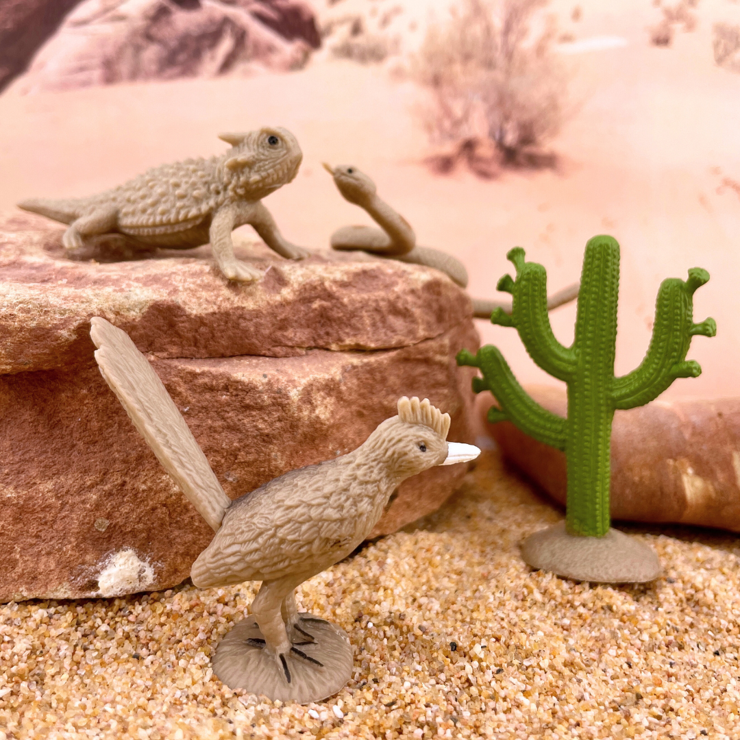 Desert TOOB®-4