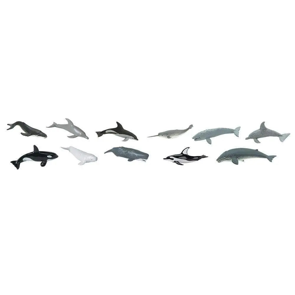 Whales & Dolphins TOOB®-2