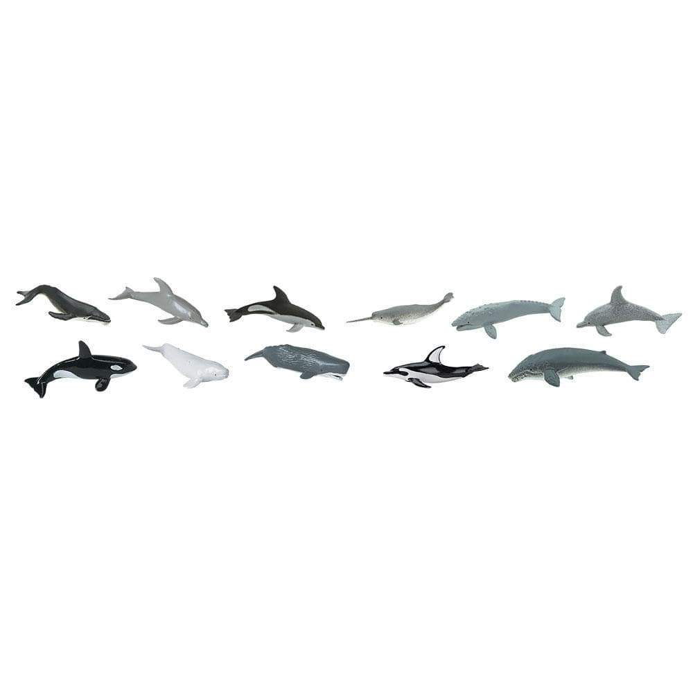 Whales & Dolphins TOOB®-2