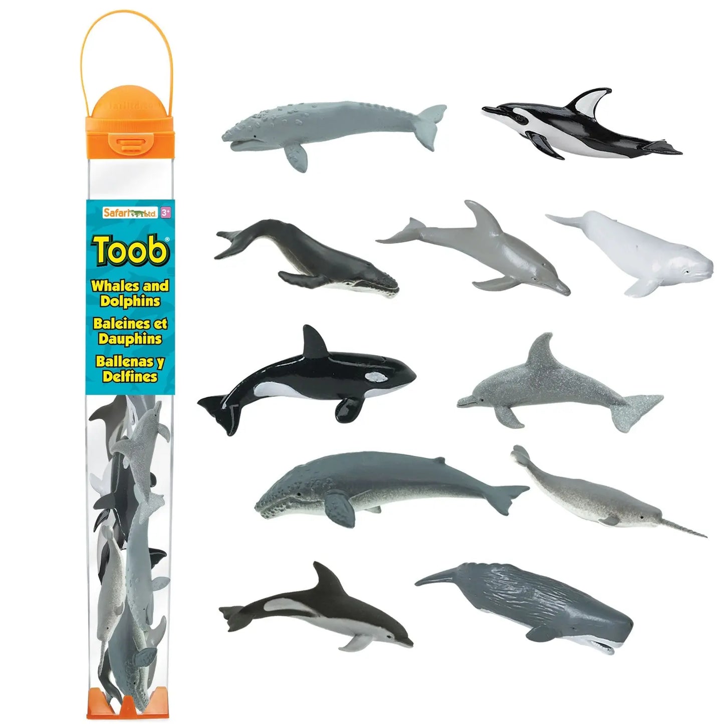 Whales & Dolphins TOOB®-0