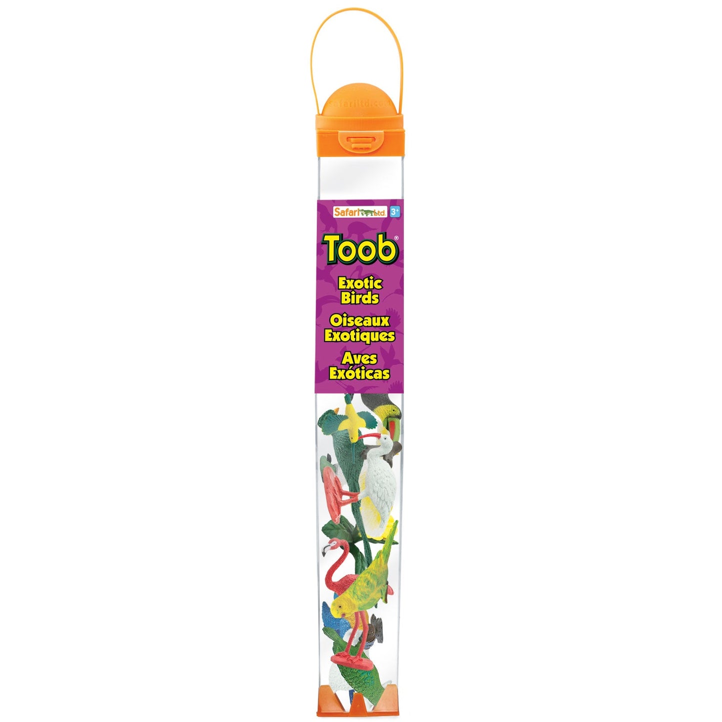 Exotic Birds TOOB®-1