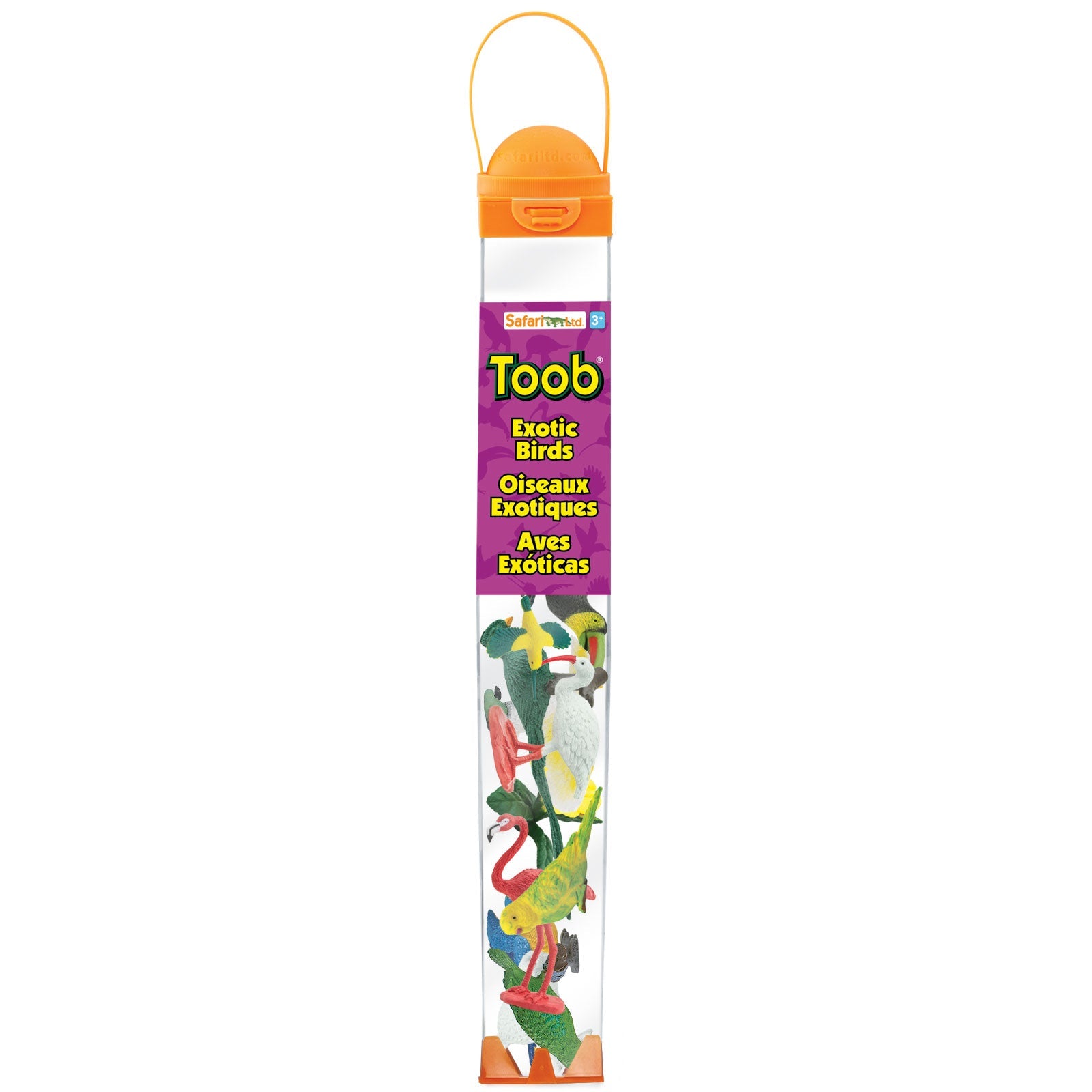 Exotic Birds TOOB®-1
