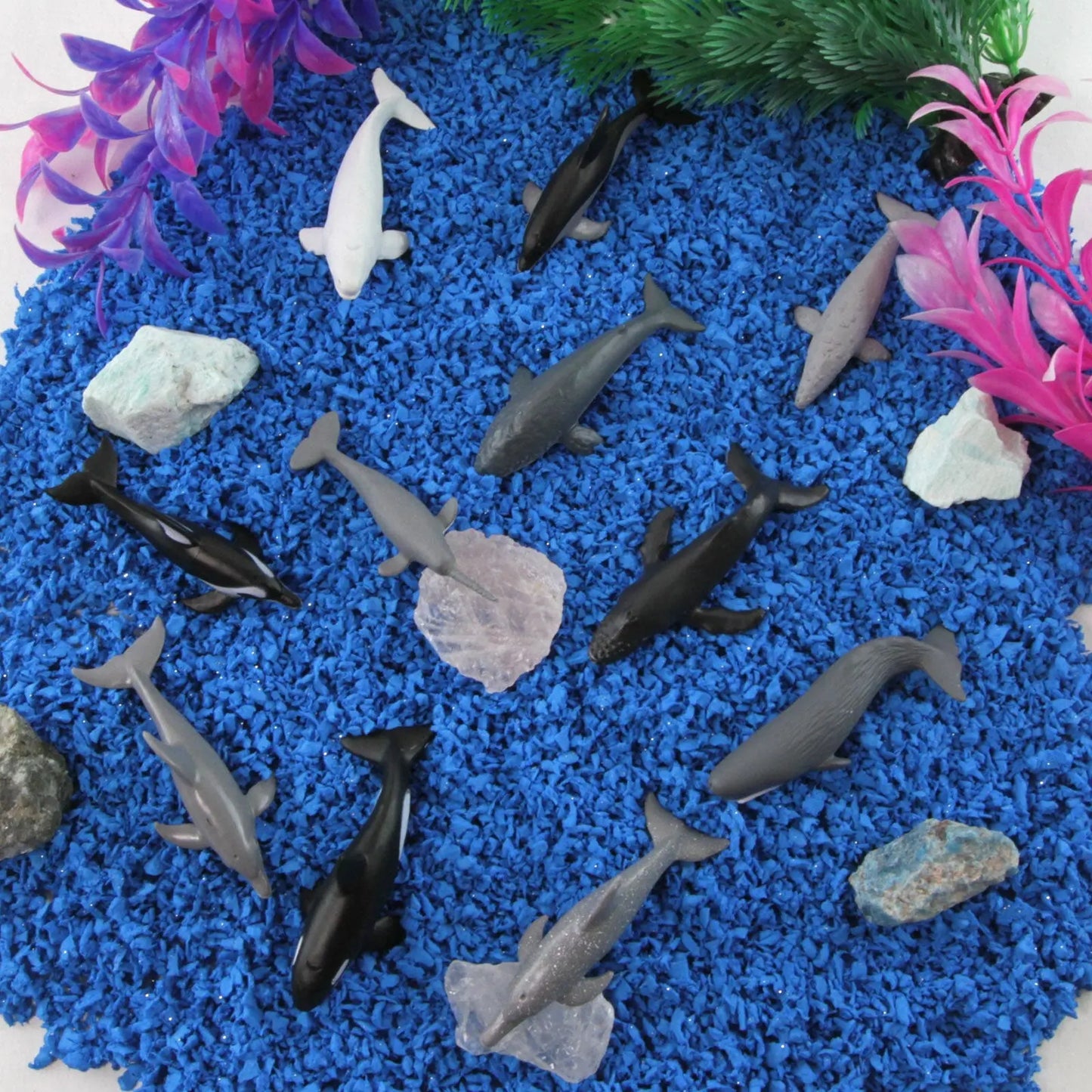 Whales & Dolphins TOOB®-4