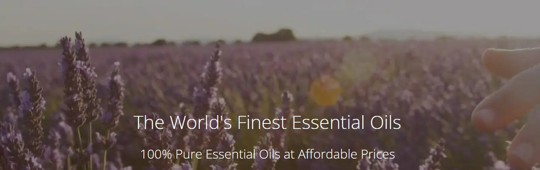 Barefut-Essential-Oils Busy Bees