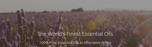 Barefut-Essential-Oils Busy Bees