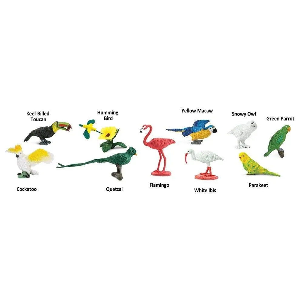 Exotic Birds TOOB®-3