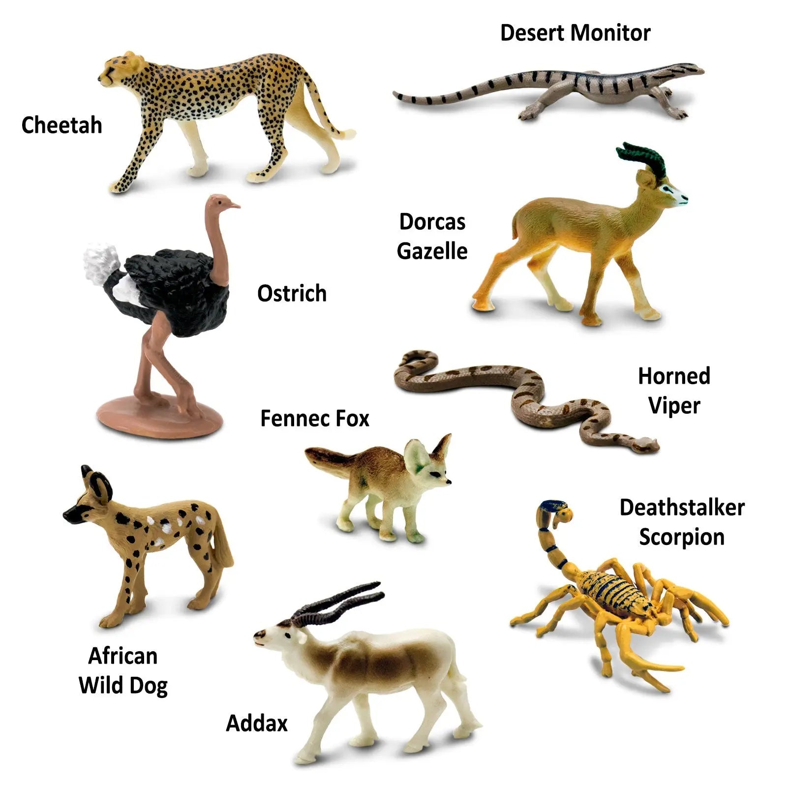 Sahara Desert Animals TOOB®-2