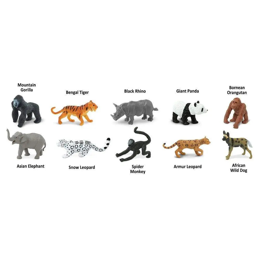 Endangered Species - Land TOOB®-3