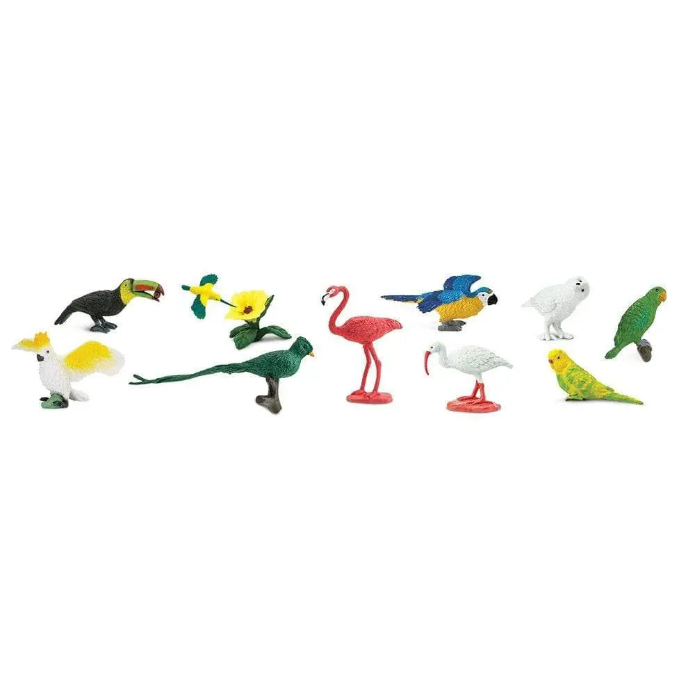 Exotic Birds TOOB®-2