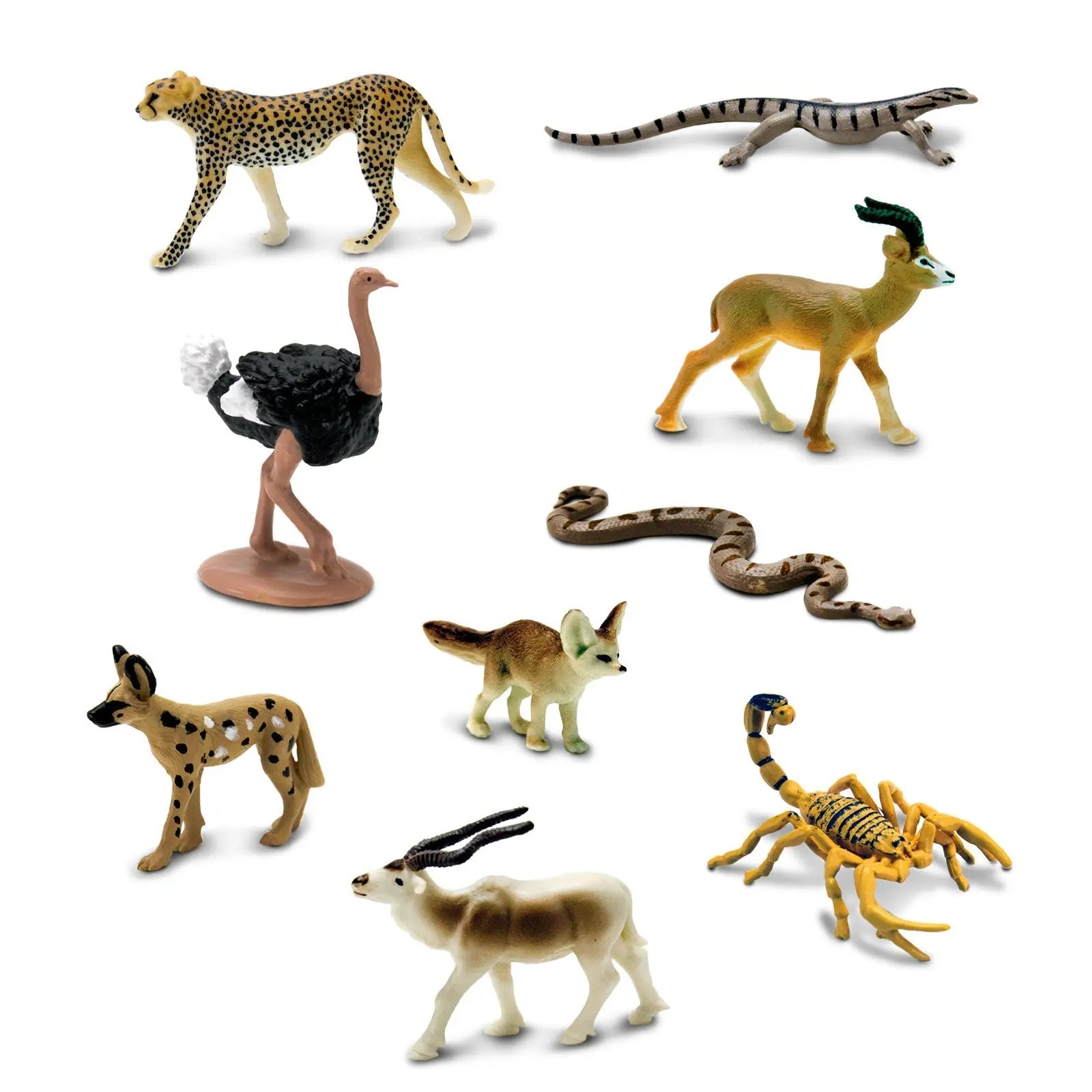 Sahara Desert Animals TOOB®-3