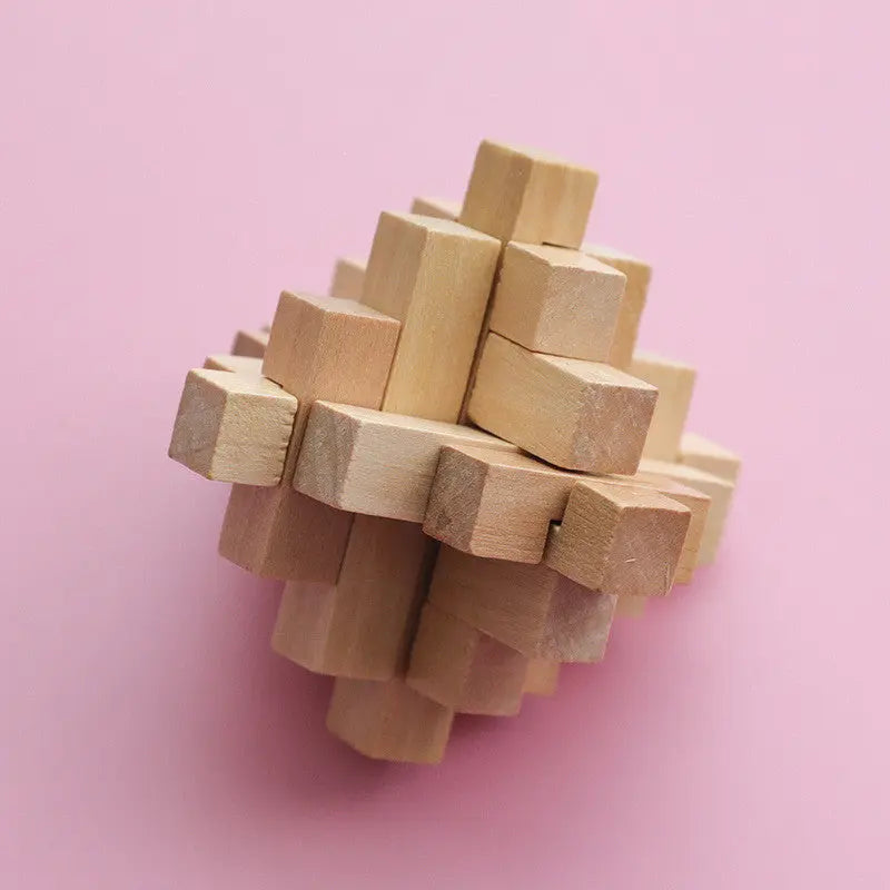 Educational Wood Lock Puzzle Set for Kids-6