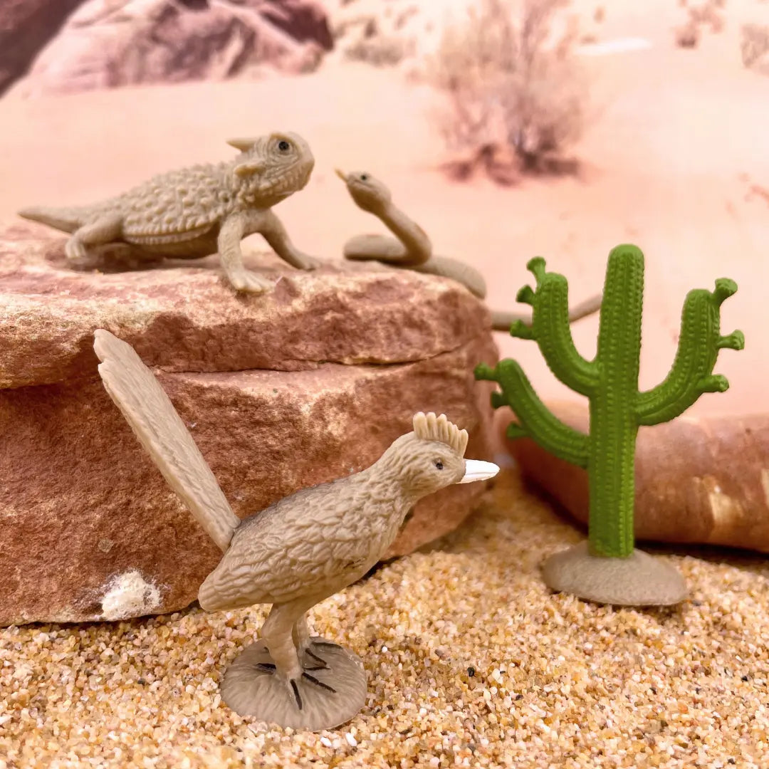 Desert TOOB®-4