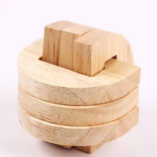 Educational Wood Lock Puzzle Set for Kids-10