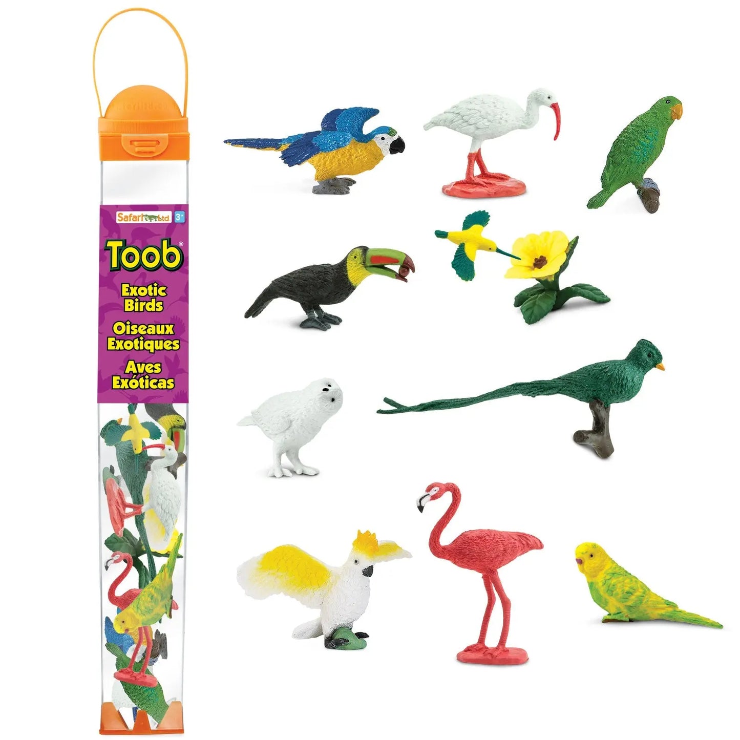 Exotic Birds TOOB®-0