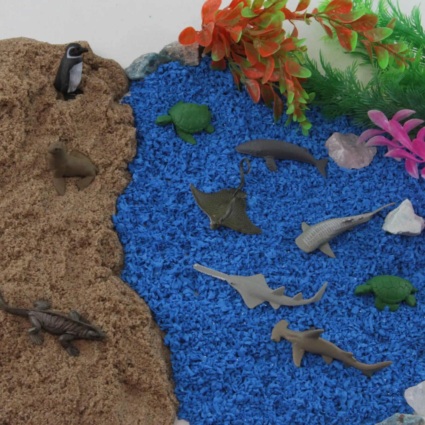 Endangered Species - Marine TOOB®-4