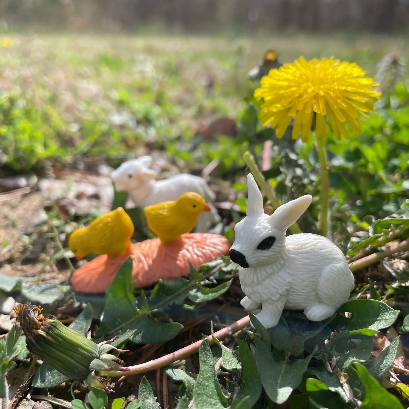 Farm Babies TOOB®-4