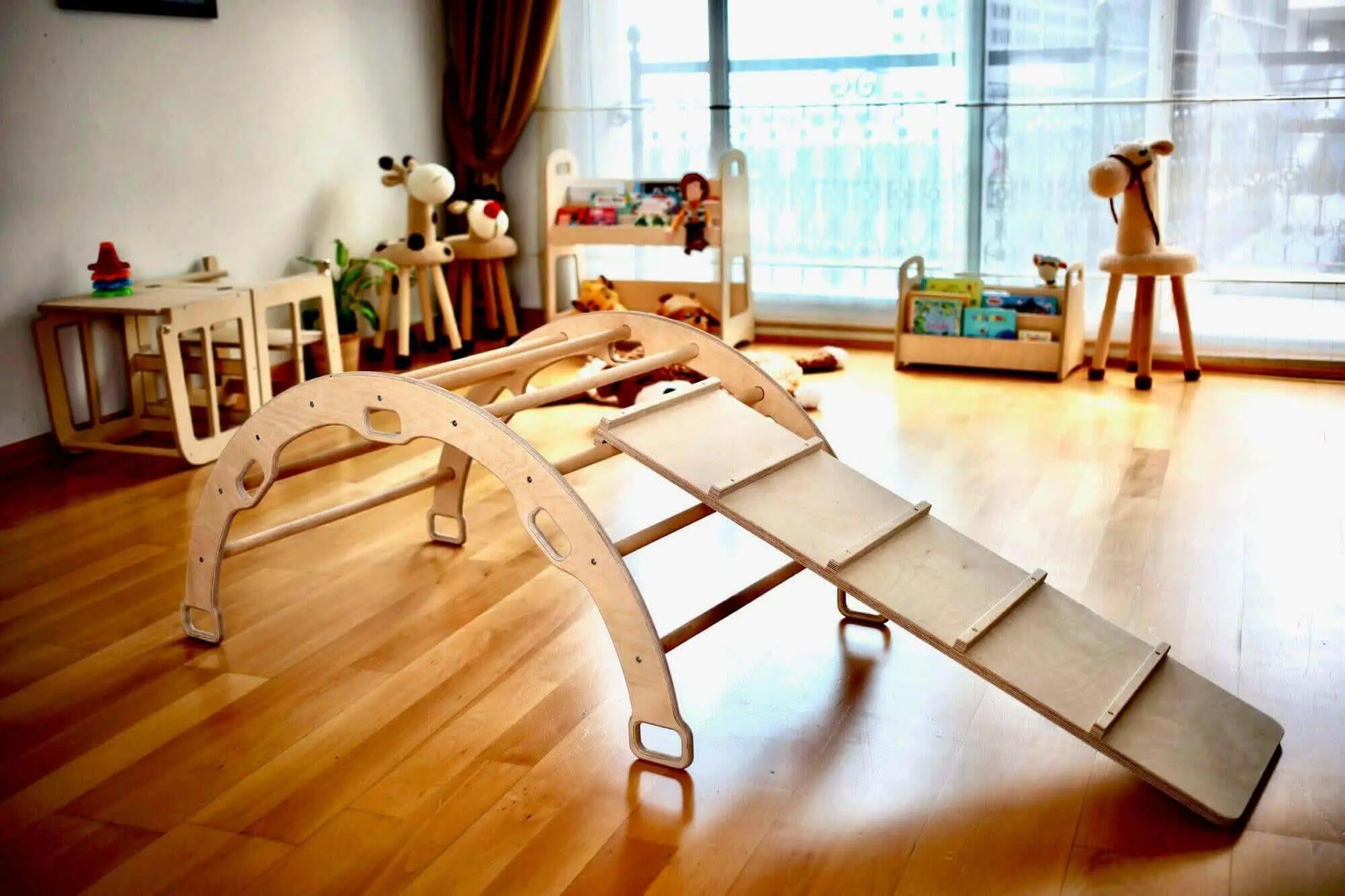 Reversible Ladder Climbing / Sliding Ramp-1