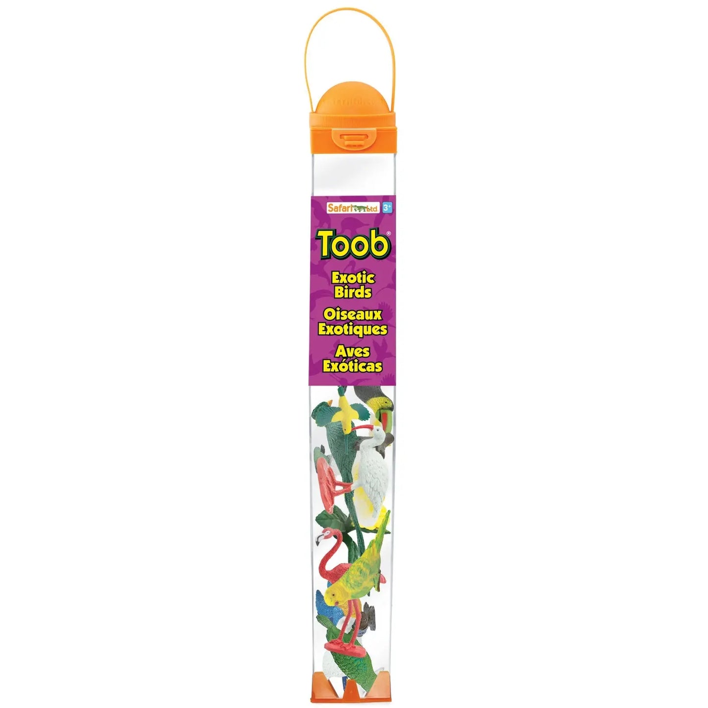 Exotic Birds TOOB®-1