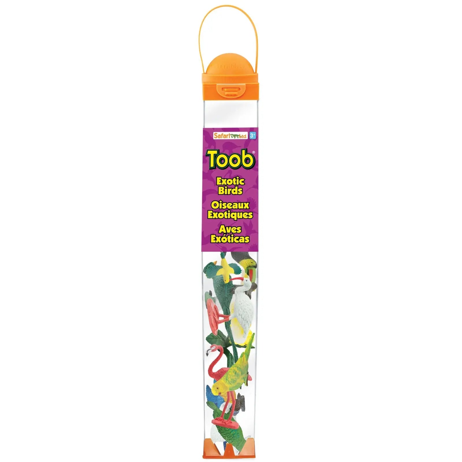 Exotic Birds TOOB®-1