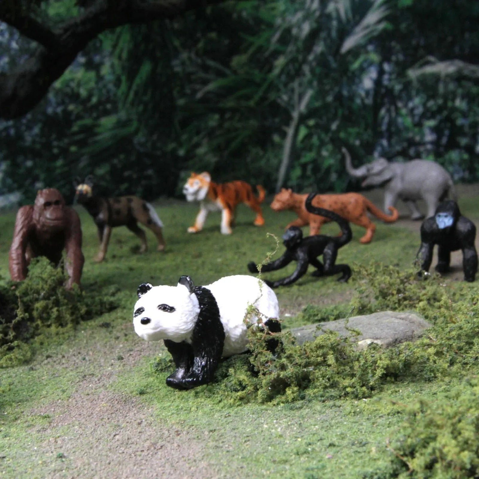 Endangered Species - Land TOOB®-4