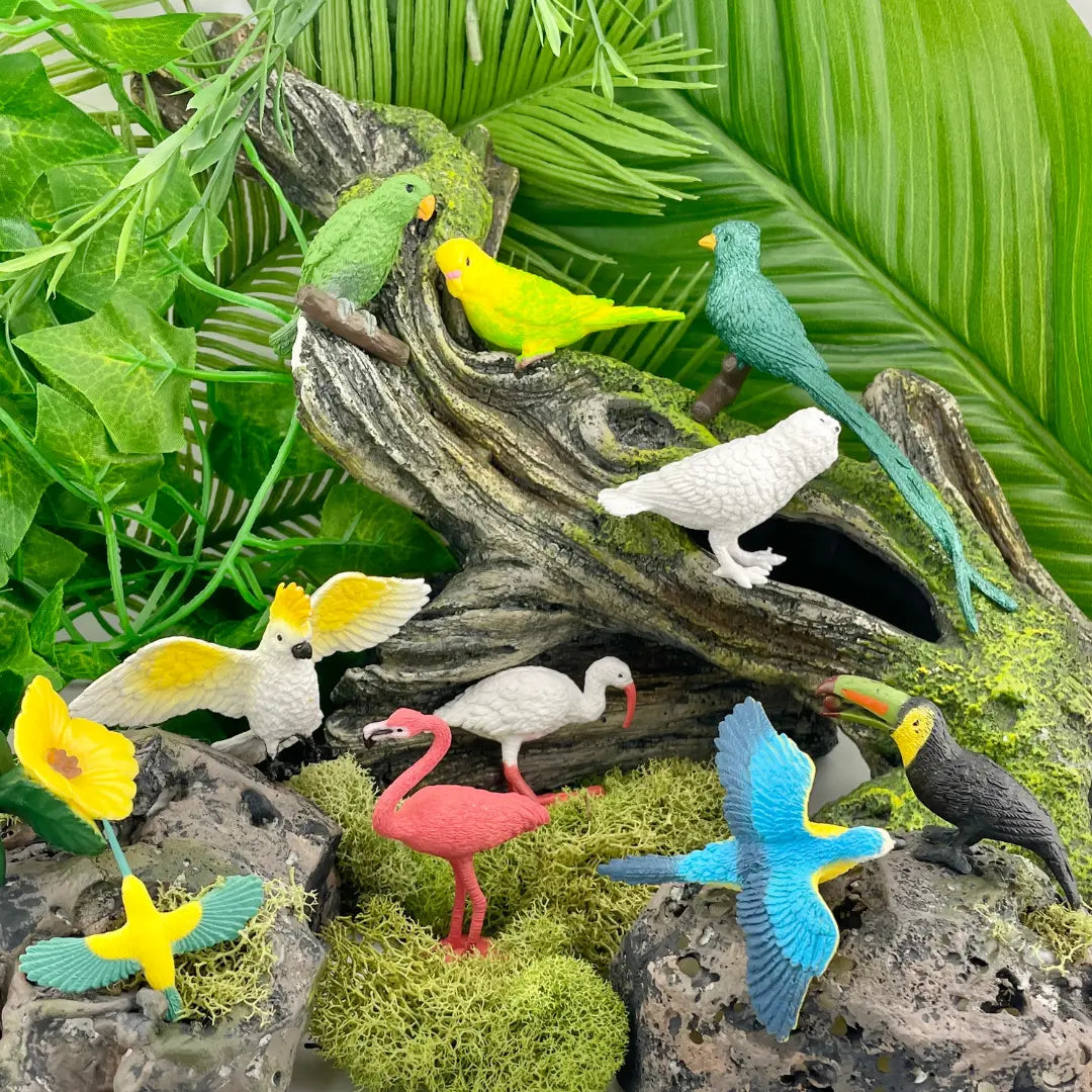 Exotic Birds TOOB®-4