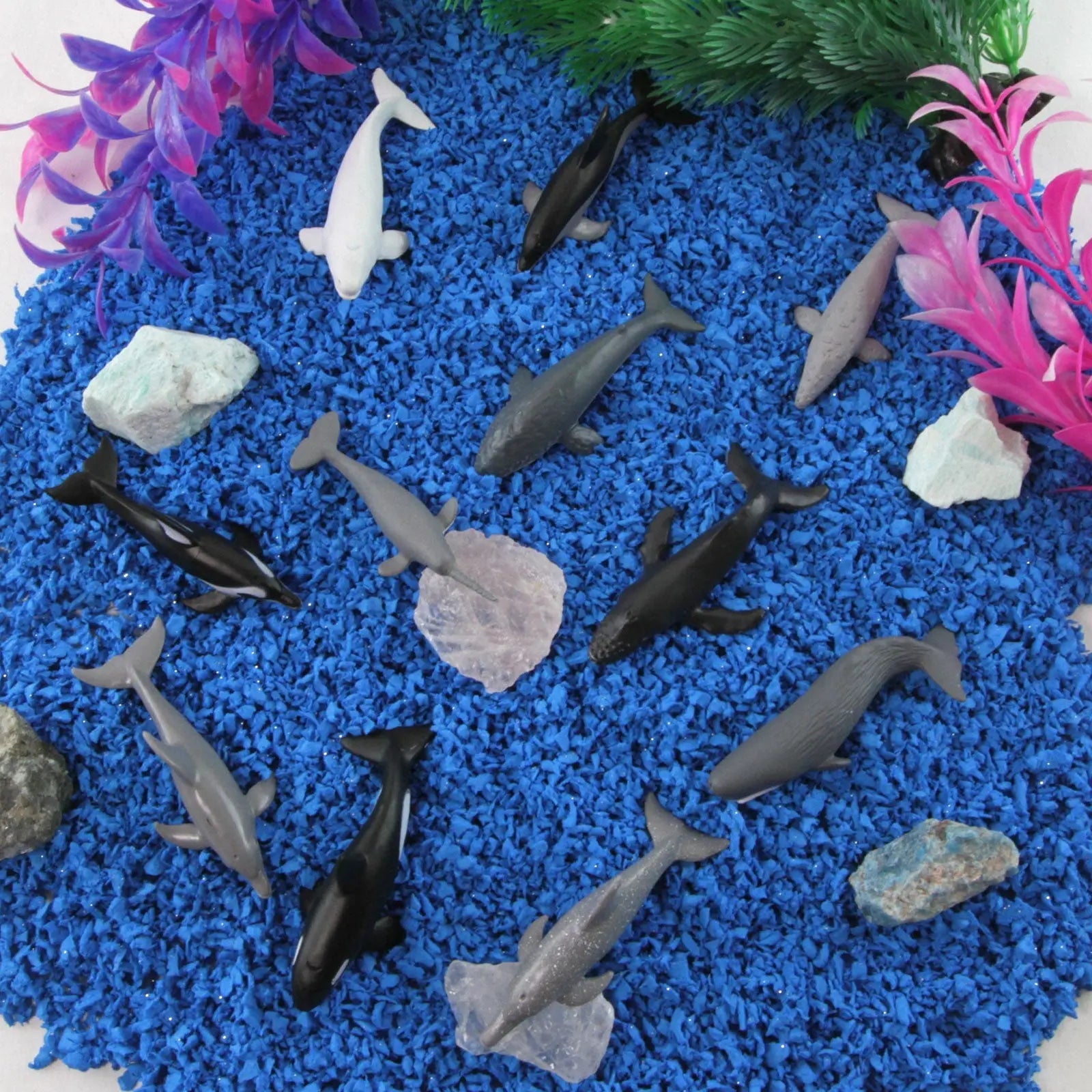 Whales & Dolphins TOOB®-4